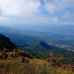 Photo taken by Bianca C