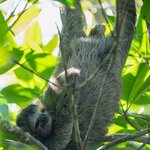 Photo taken by William A