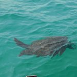 Photo taken by Steven M