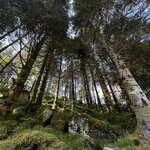 Photo taken by Jared B