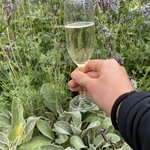 Photo taken by Grace B