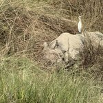 Photo taken by Meenakshi B