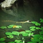 Photo taken by Brett F