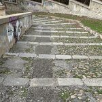 Photo taken by Shannon S