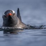 Photo taken by SANDRA V