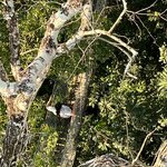 Photo taken by Kakoli K