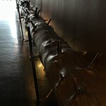 Photo taken by Jennifer D