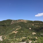 Photo taken by Victoria P