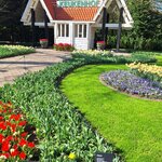 Photo taken by Kim R