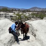 Photo taken by Martin S