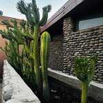 Photo taken by Rizal K