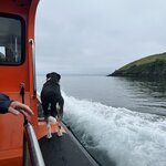 Photo taken by Debi H