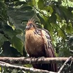 Photo taken by Randy H