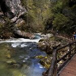 Photo taken by Jon A