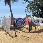 Photo taken by Alison R