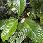 Photo taken by JULIE M