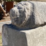 Photo taken by Donna G