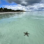 Photo taken by Edit M