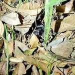 Photo taken by Brett F