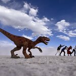 Photo taken by Lisa F