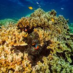 Photo taken by Nicholas P