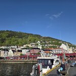 Photo taken by Vikki M