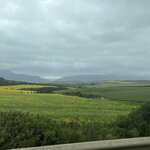 Photo taken by Brad P