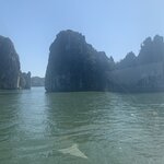 Photo taken by Ricky B