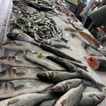 Photo taken by Shelley H