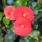 Photo taken by Mordechay T