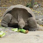 Photo taken by Barb M