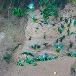 Photo taken by Steven M