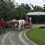 Photo taken by Khaled S