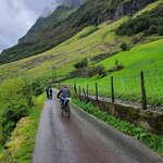 Photo taken by Tamara N