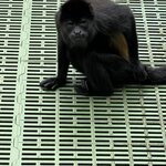 Photo taken by Jaya C