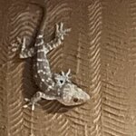 Photo taken by Dennis N