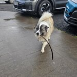 Photo taken by Scott C