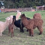 Photo taken by Norma G