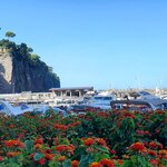 Photo taken by BARSHA C