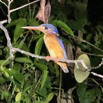 Photo taken by Edit M