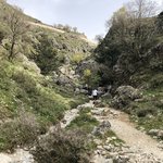 Photo taken by Liz S