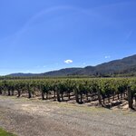 Photo taken by kirsten b