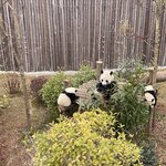 Photo taken by Dani M