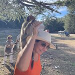 Photo taken by Cristy C