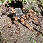 Photo taken by Donna G