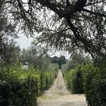 Photo taken by Michelle P