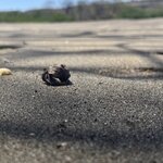 Photo taken by Wilbert A