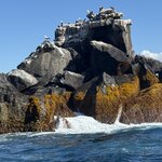 Photo taken by Lisa P