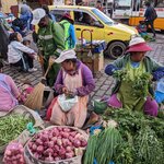 Photo taken by Susan B