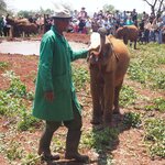 Photo taken by Peter H